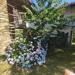 La Casa Nel Bosco Apartamento *