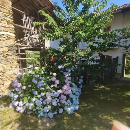 La Casa Nel Bosco Apartment *