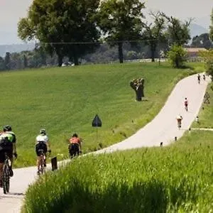 La Casa Nel Bosco Torrazzo