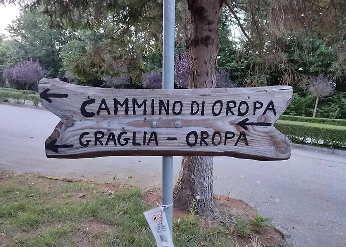 La Casa Nel Bosco *